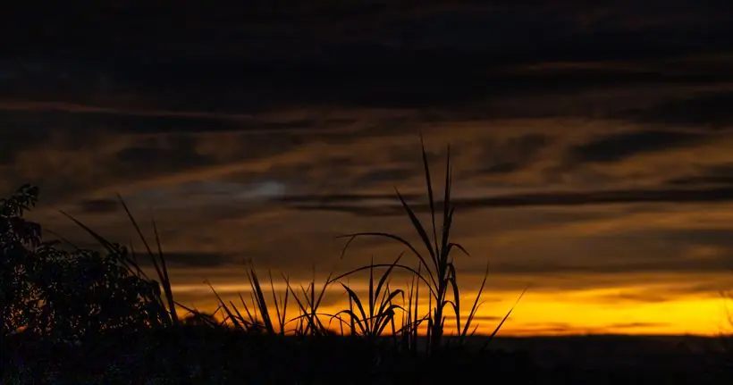 pôr do sol — fotografia de natureza e vida selvagem